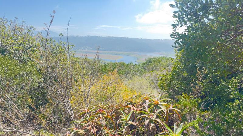 0 Bedroom Property for Sale in Groot Brakrivier Central Western Cape